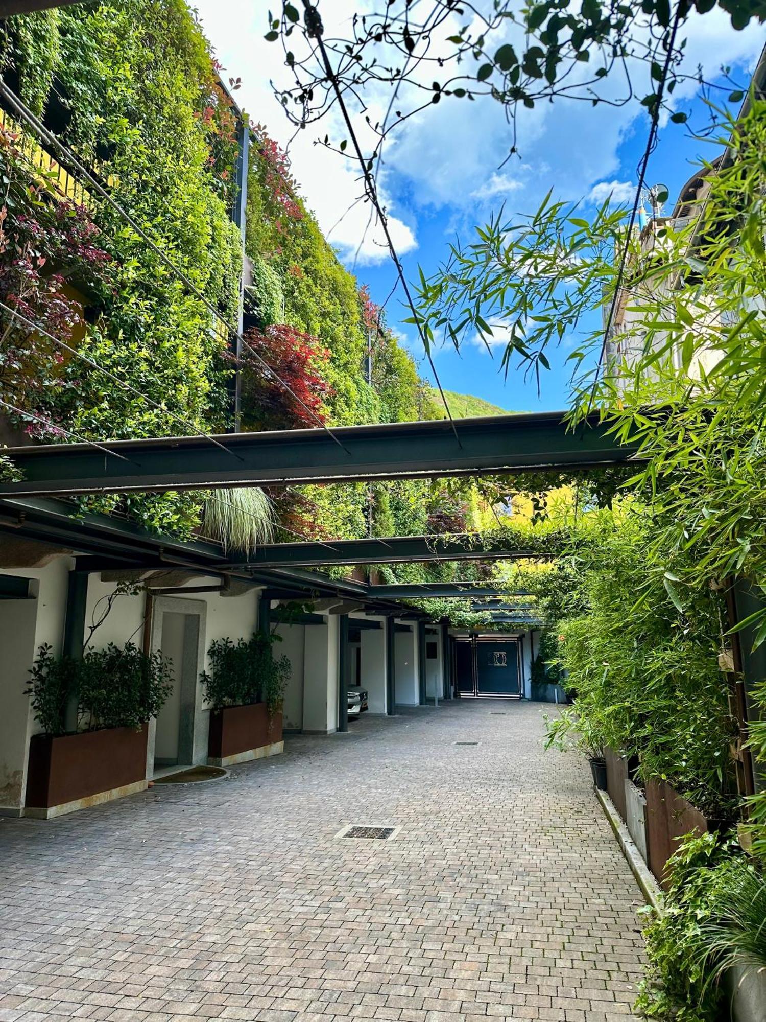 Residence Casa Coppa Appartamento Flox Omegna Eksteriør billede