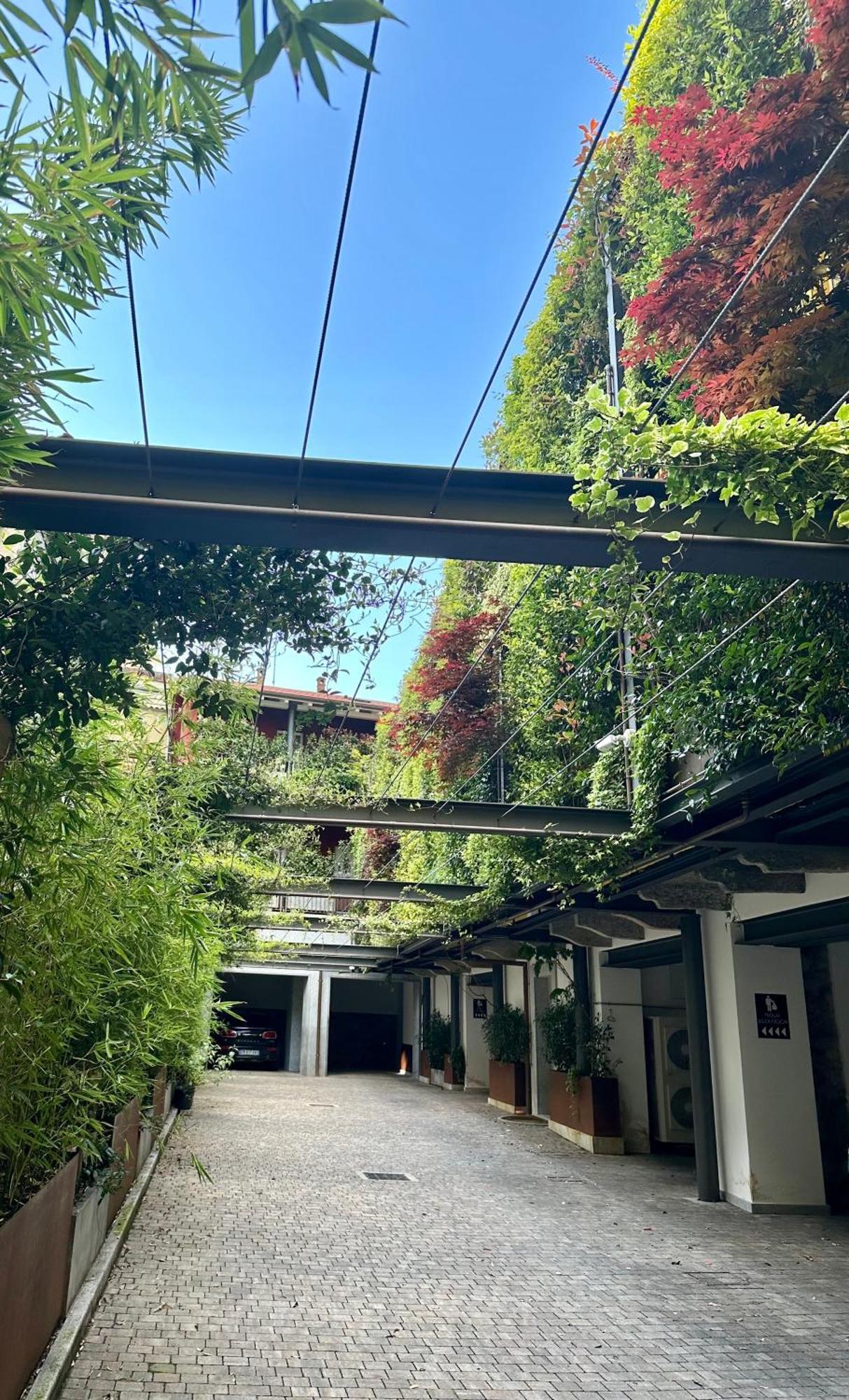 Residence Casa Coppa Appartamento Flox Omegna Eksteriør billede